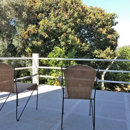 Casas Do Caminho Velho Ribeira de Pena