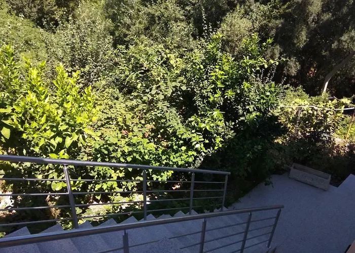 Casas Do Caminho Velho